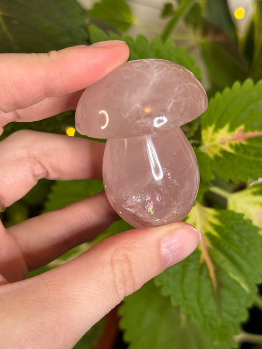 Rose Quartz Mushie