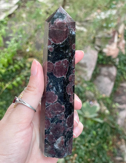 Garnet in Astrophyllite Tower