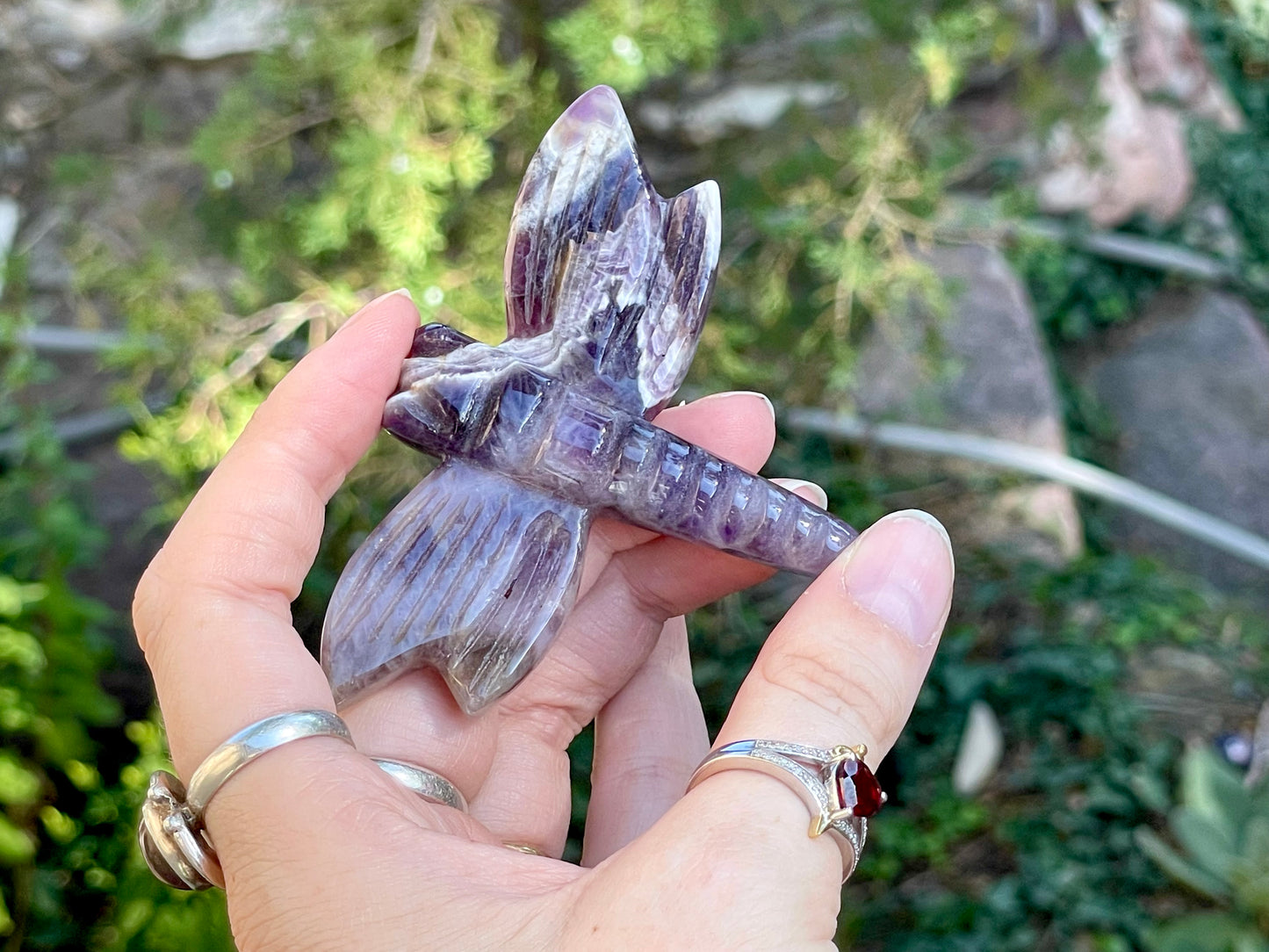 Chevron Amethyst Dragonfly