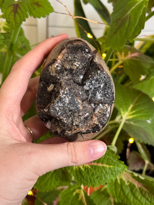 Septarian Dragon Egg C