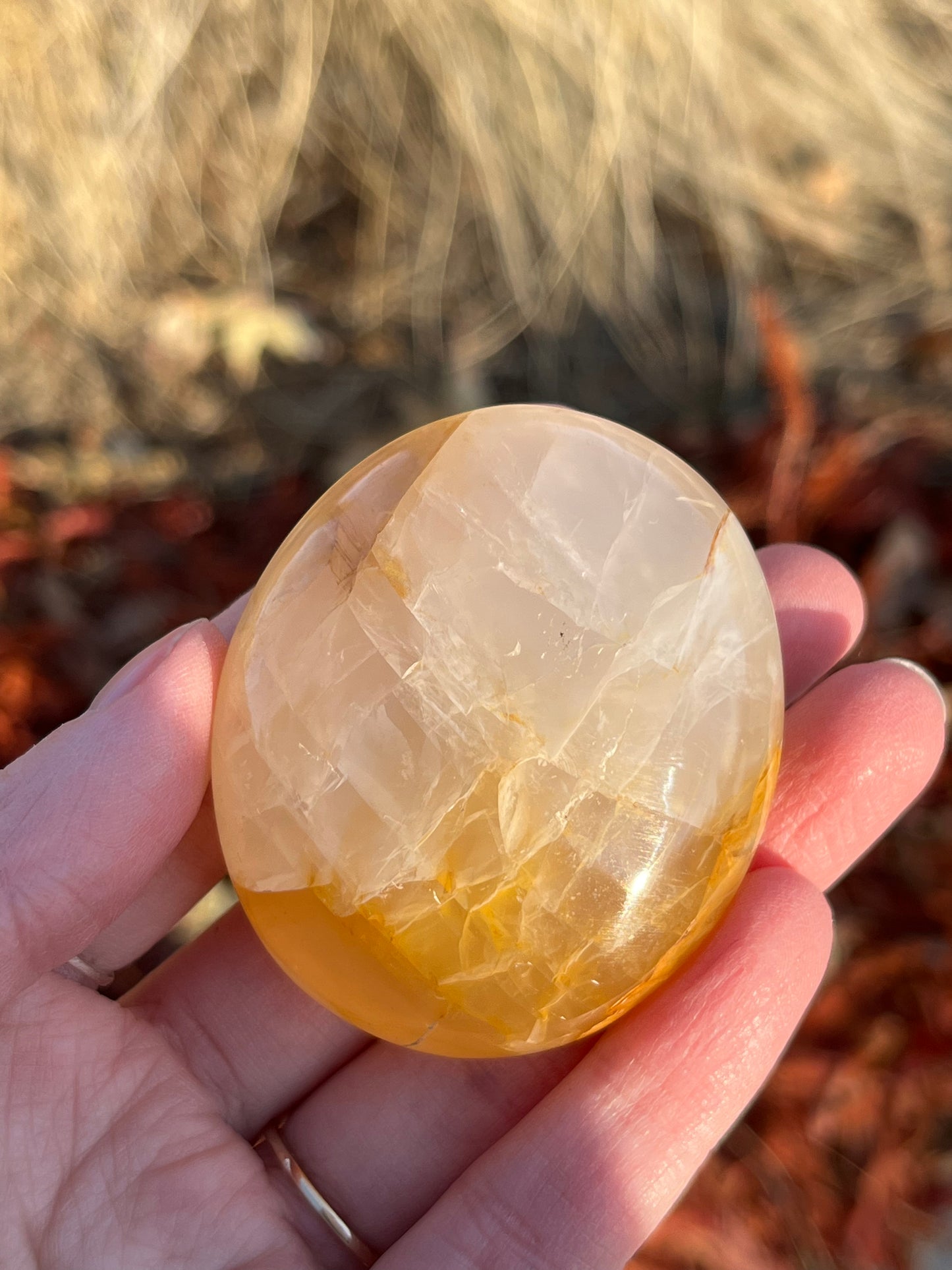 Golden Healer Palm Stone