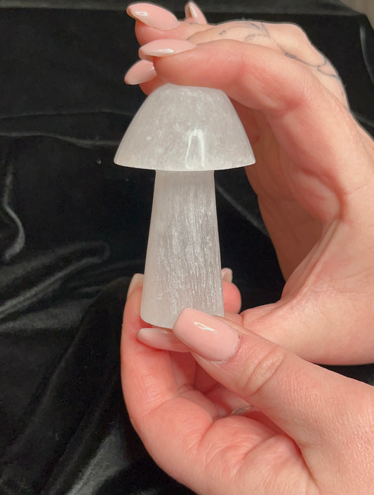 Selenite Mushroom A