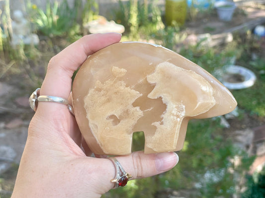 Mexican Onyx Bear C