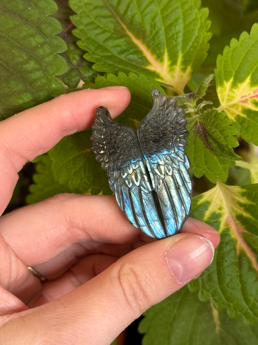 Labradorite Angel Wings