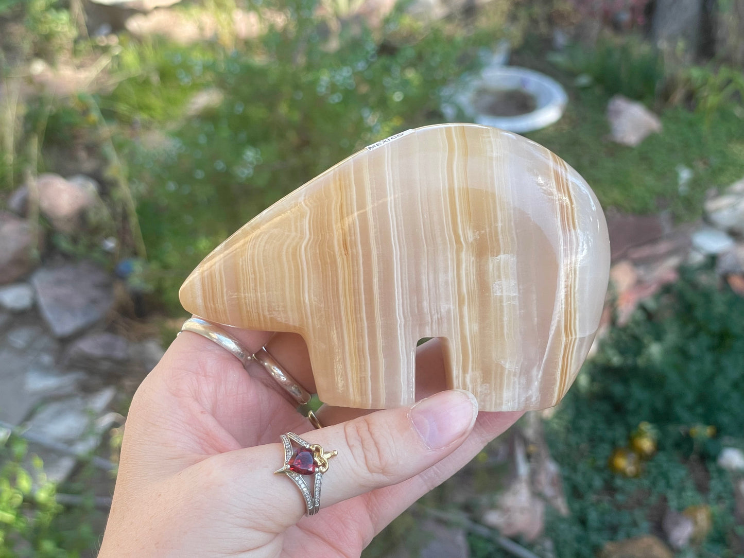 Mexican Onyx Bear A