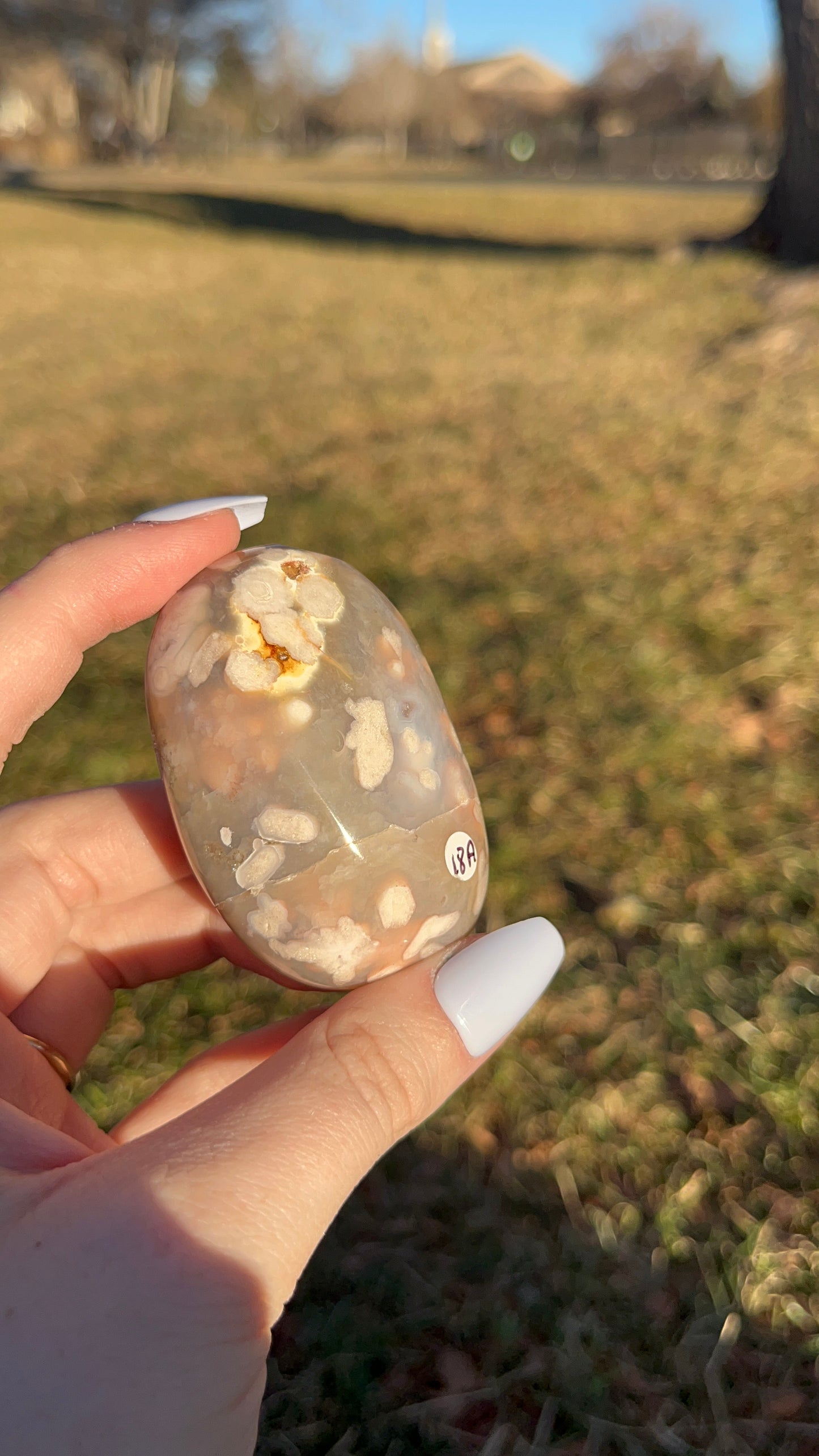 Flower Agate Palm A