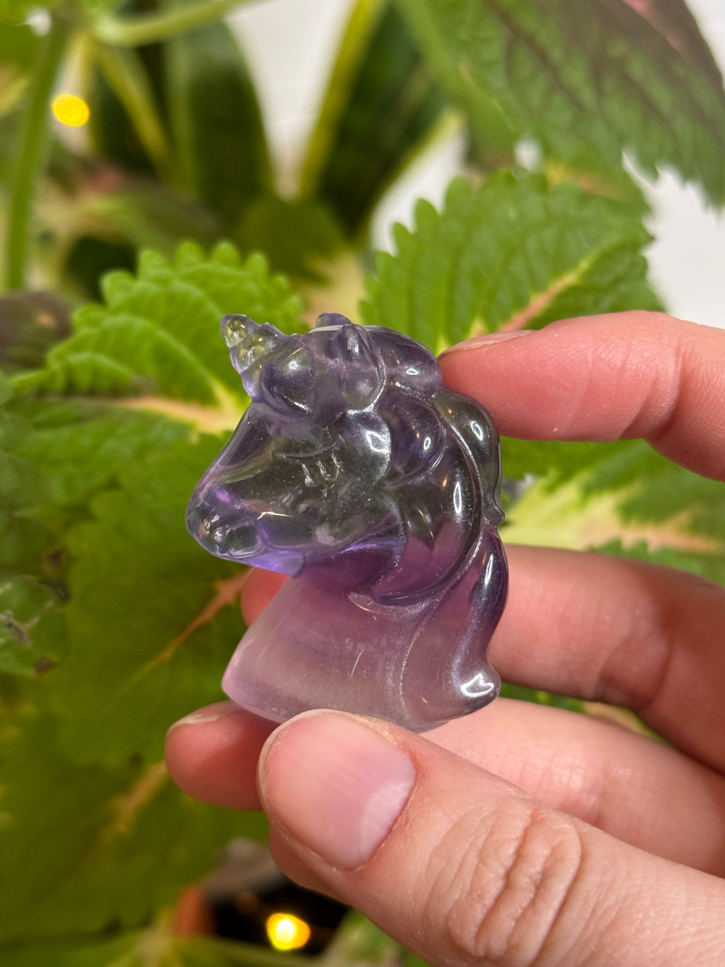 Fluorite Unicorn