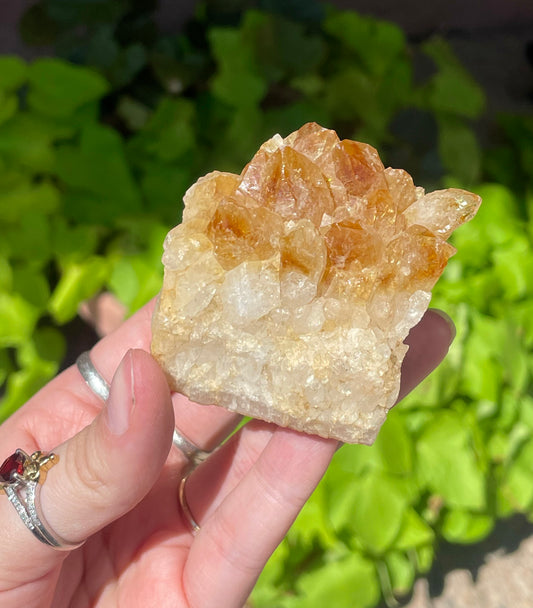 Citrine Cluster A