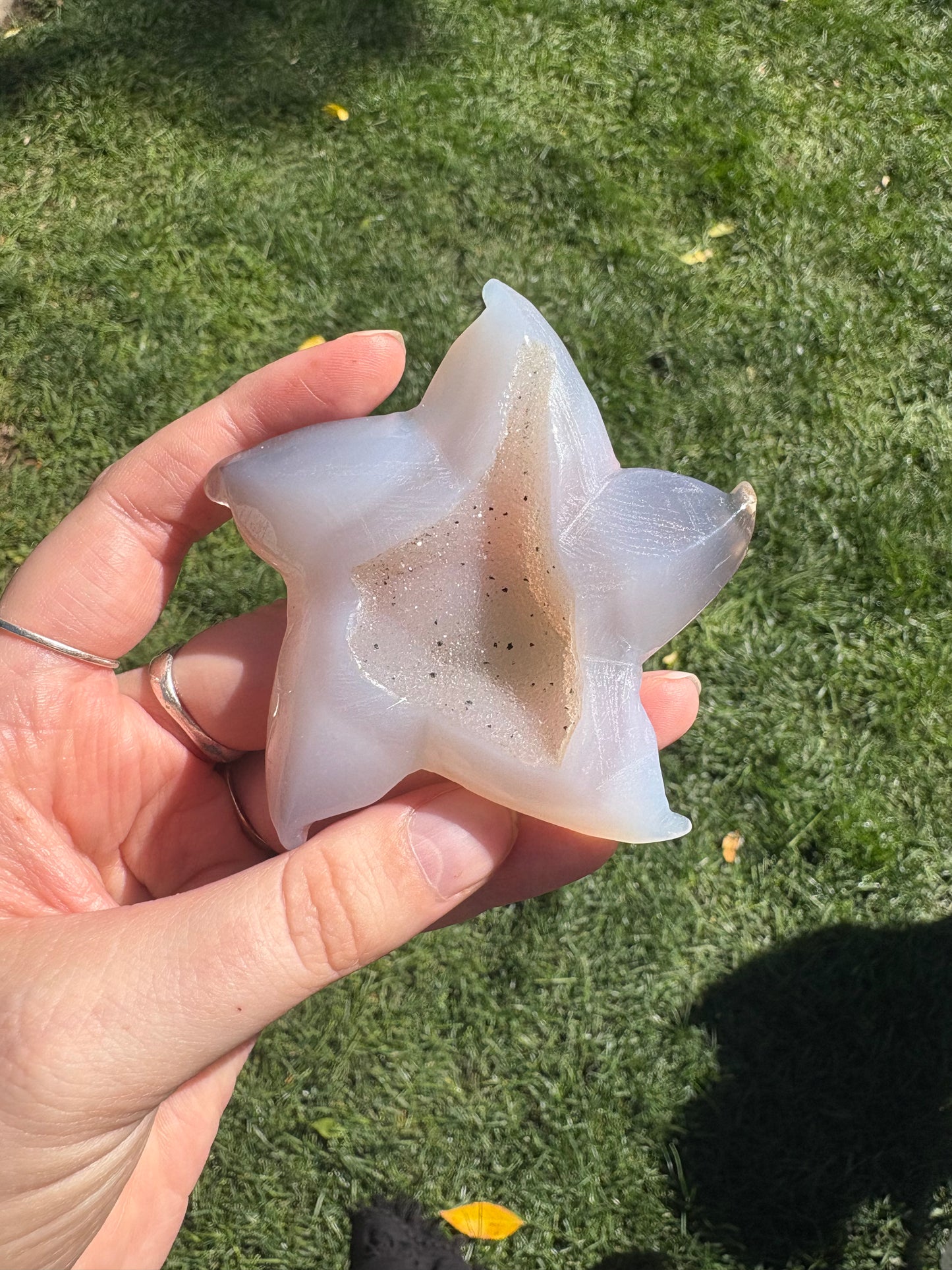 Druzy Agate Sea Star B