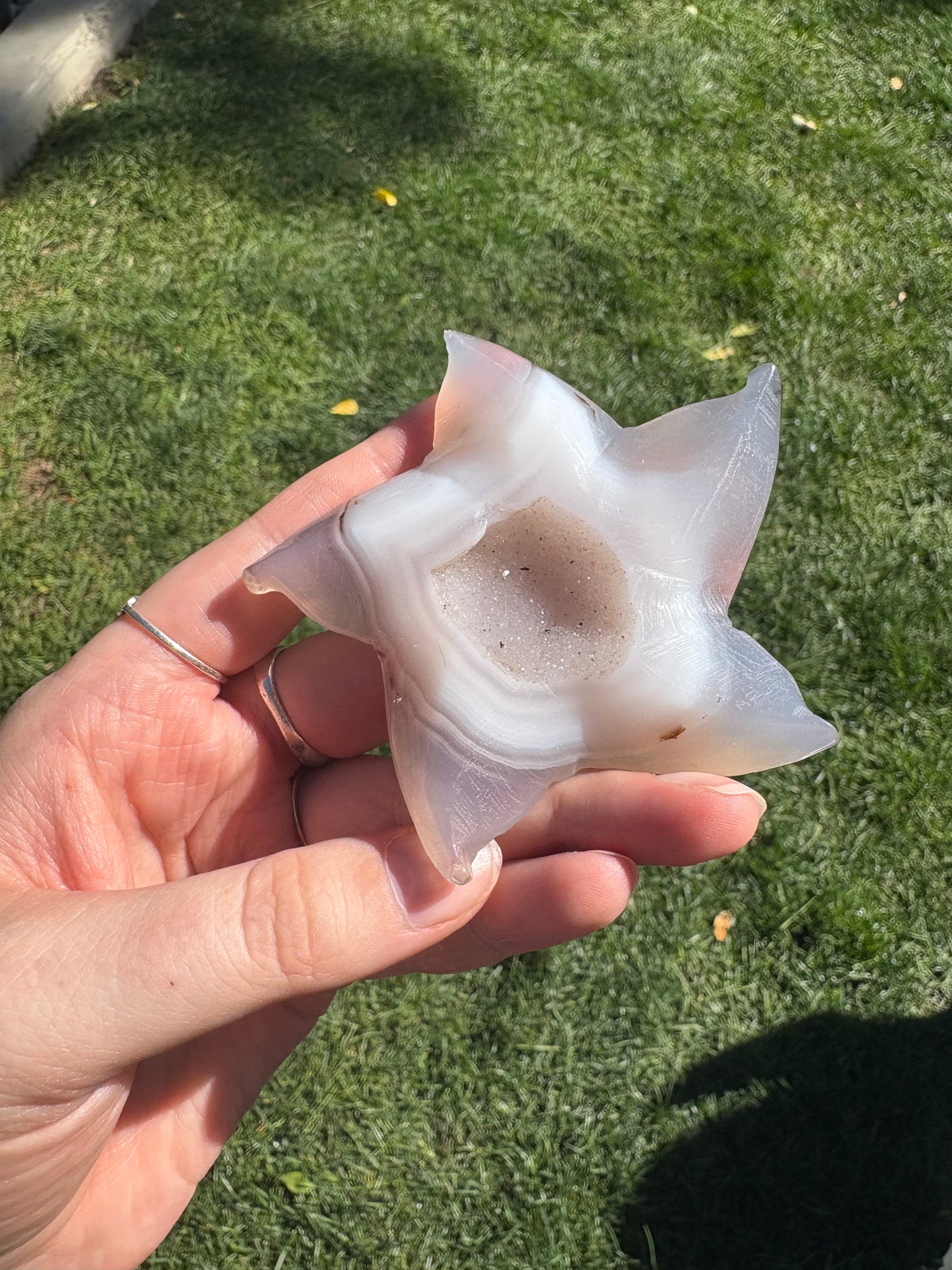 Druzy Agate Sea Star C