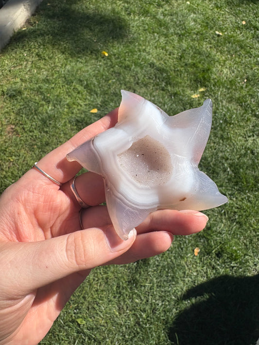 Druzy Agate Sea Star C