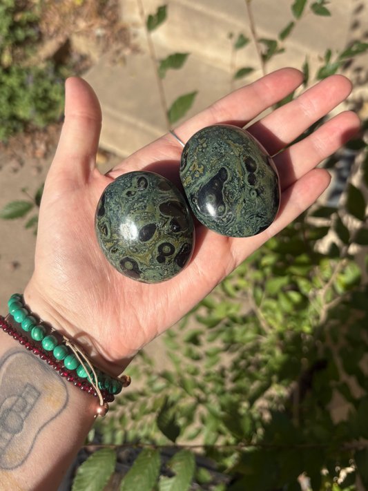 Kambaba Jasper Palm
