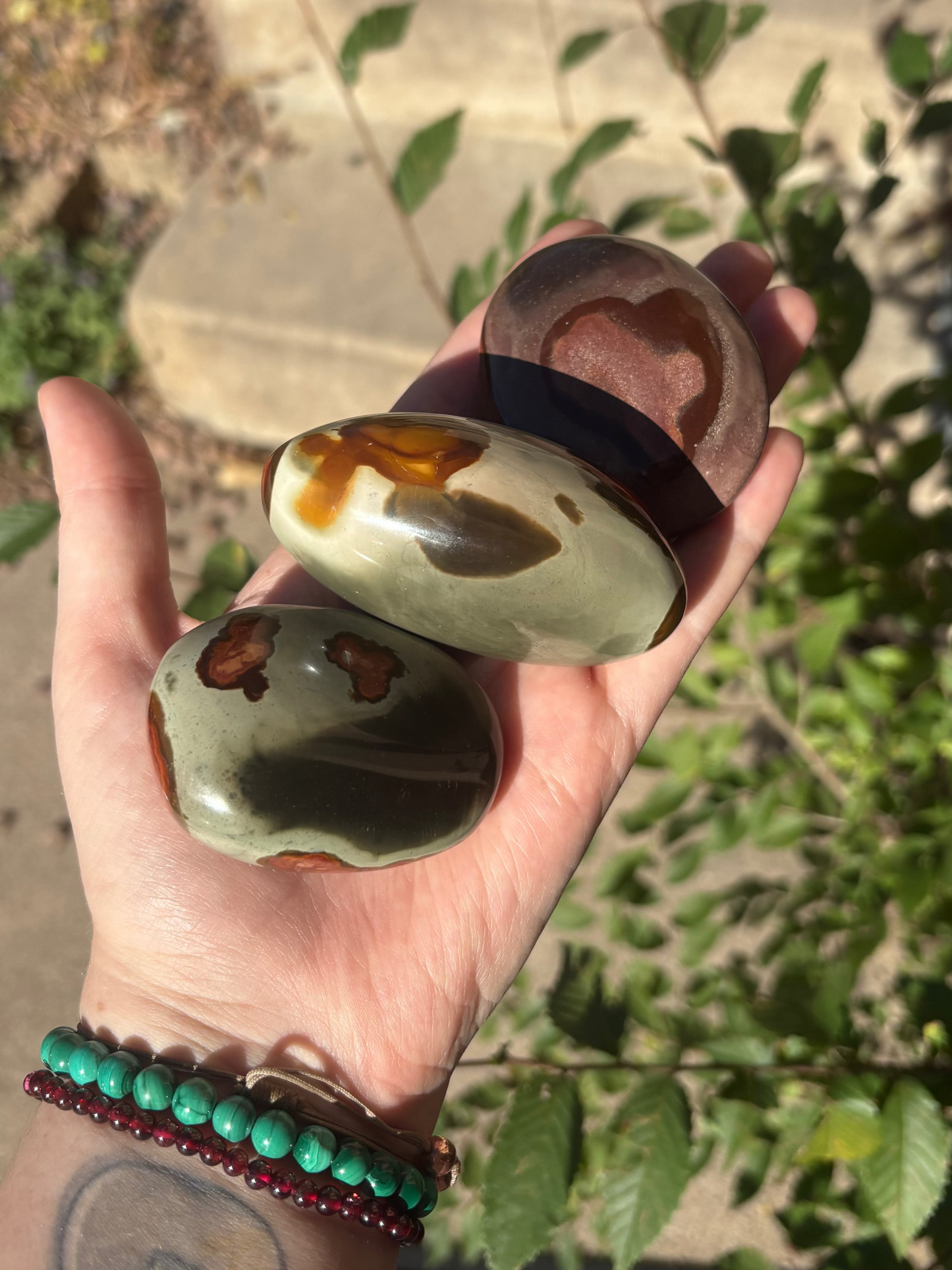 Polychrome Jasper Palm A