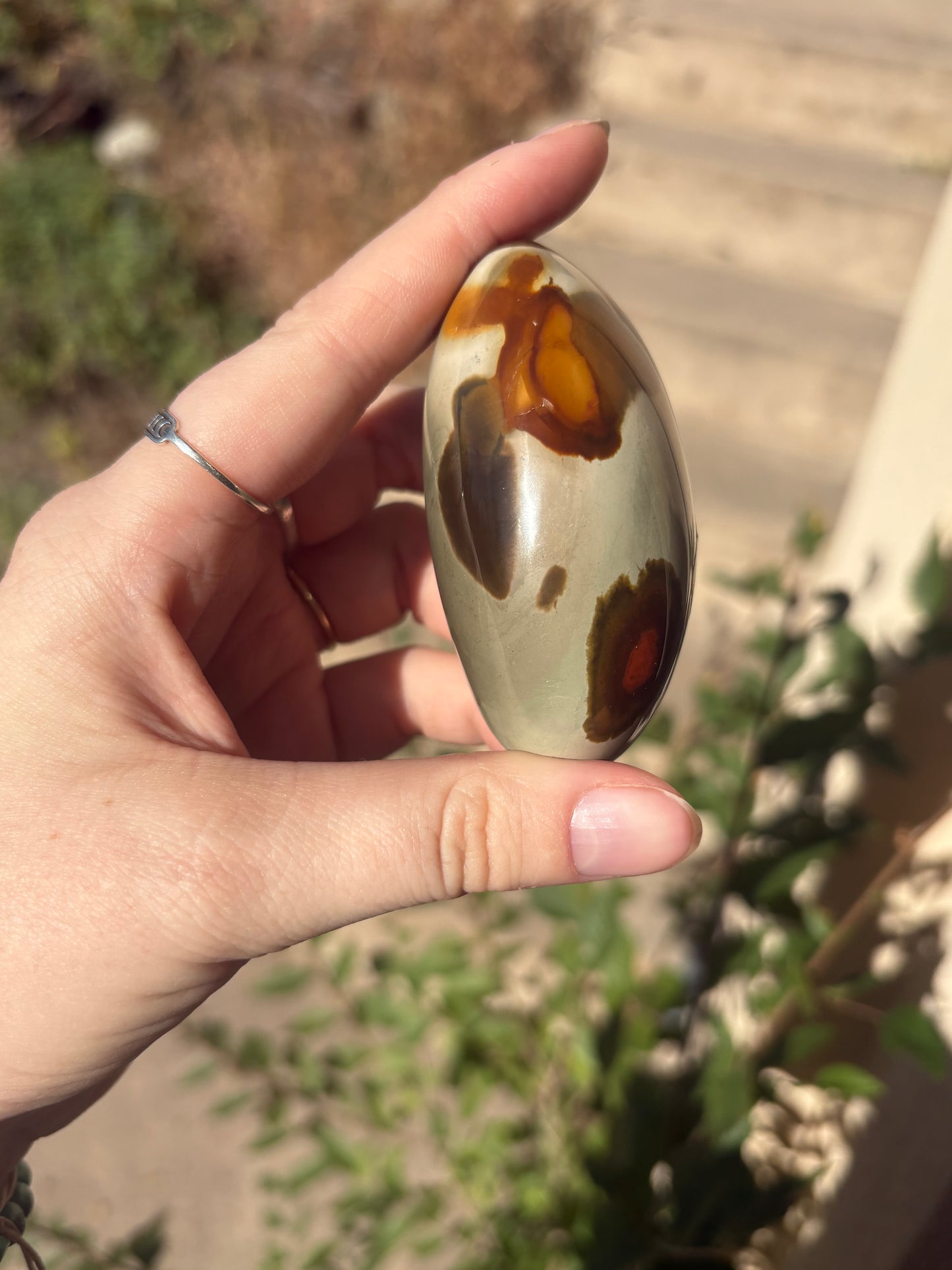 Polychrome Jasper Palm A