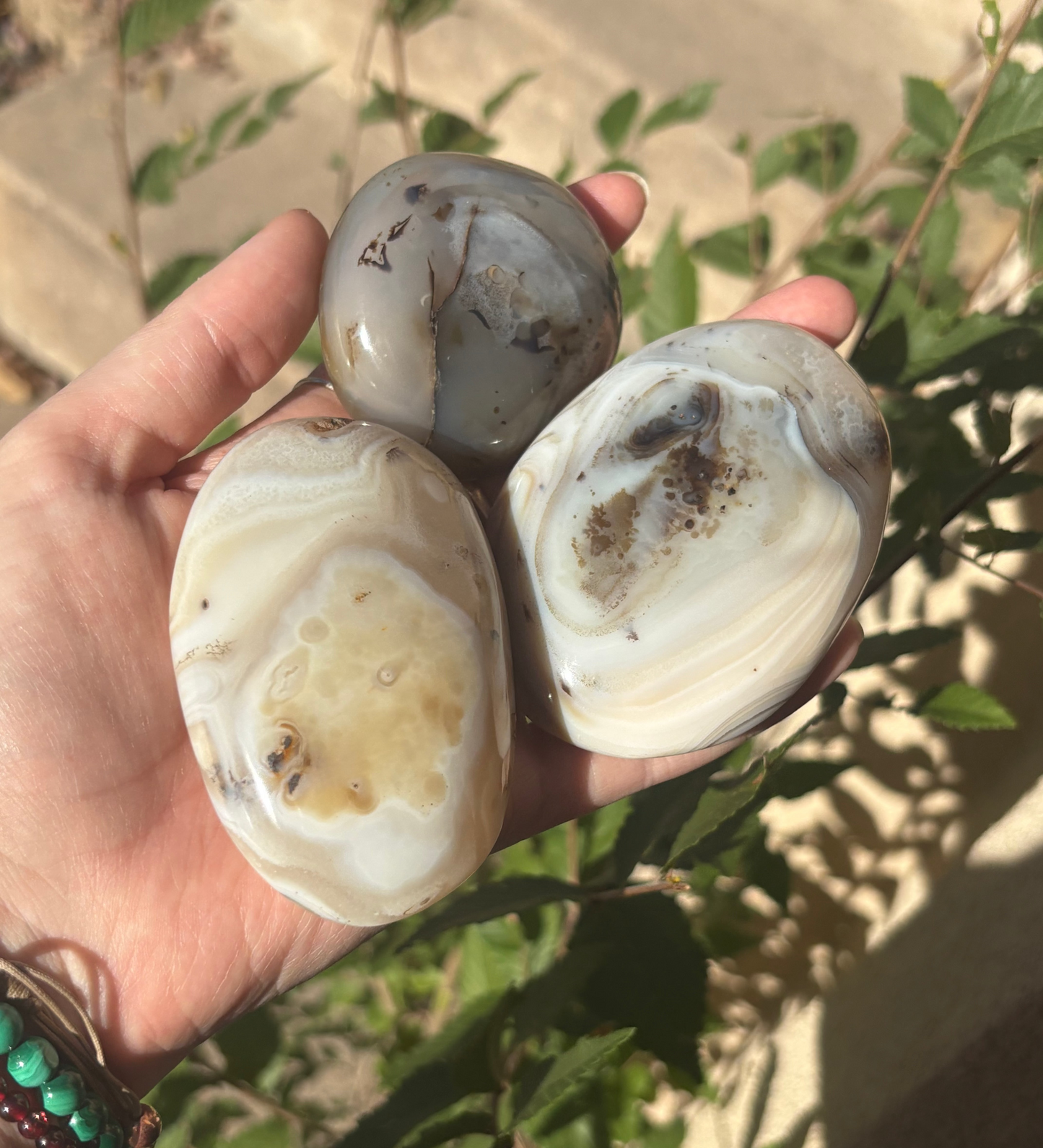 Dendritic Agate Palm A