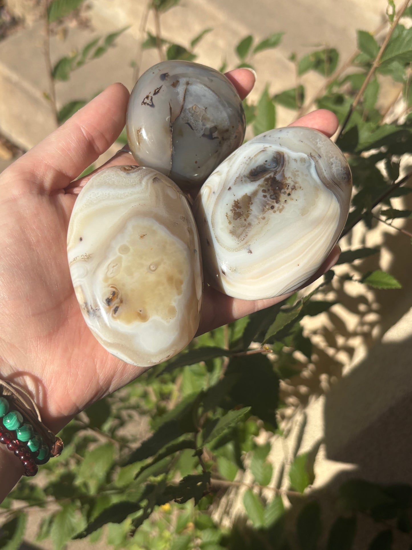 Dendritic Agate Palm C