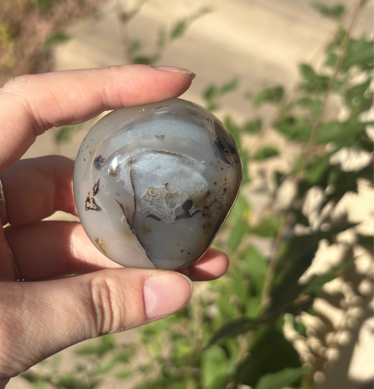 Dendritic Agate Palm C