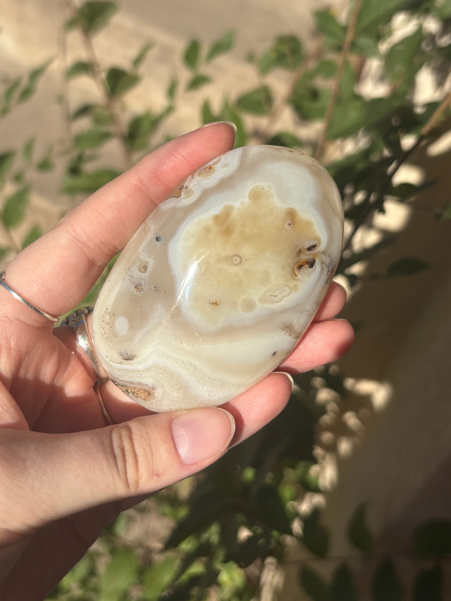 Dendritic Agate Palm A