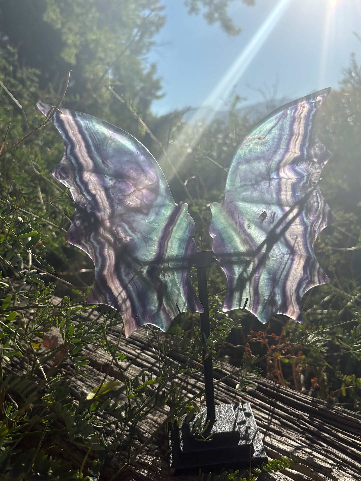 Fluorite Dragon Wings