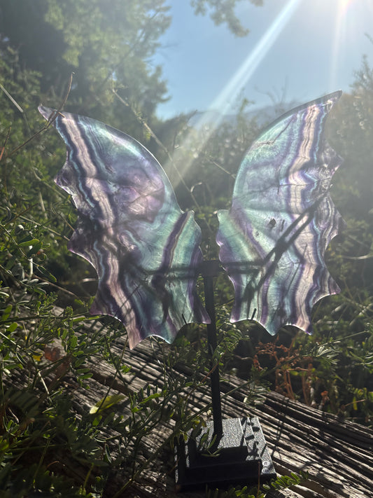 Fluorite Dragon Wings