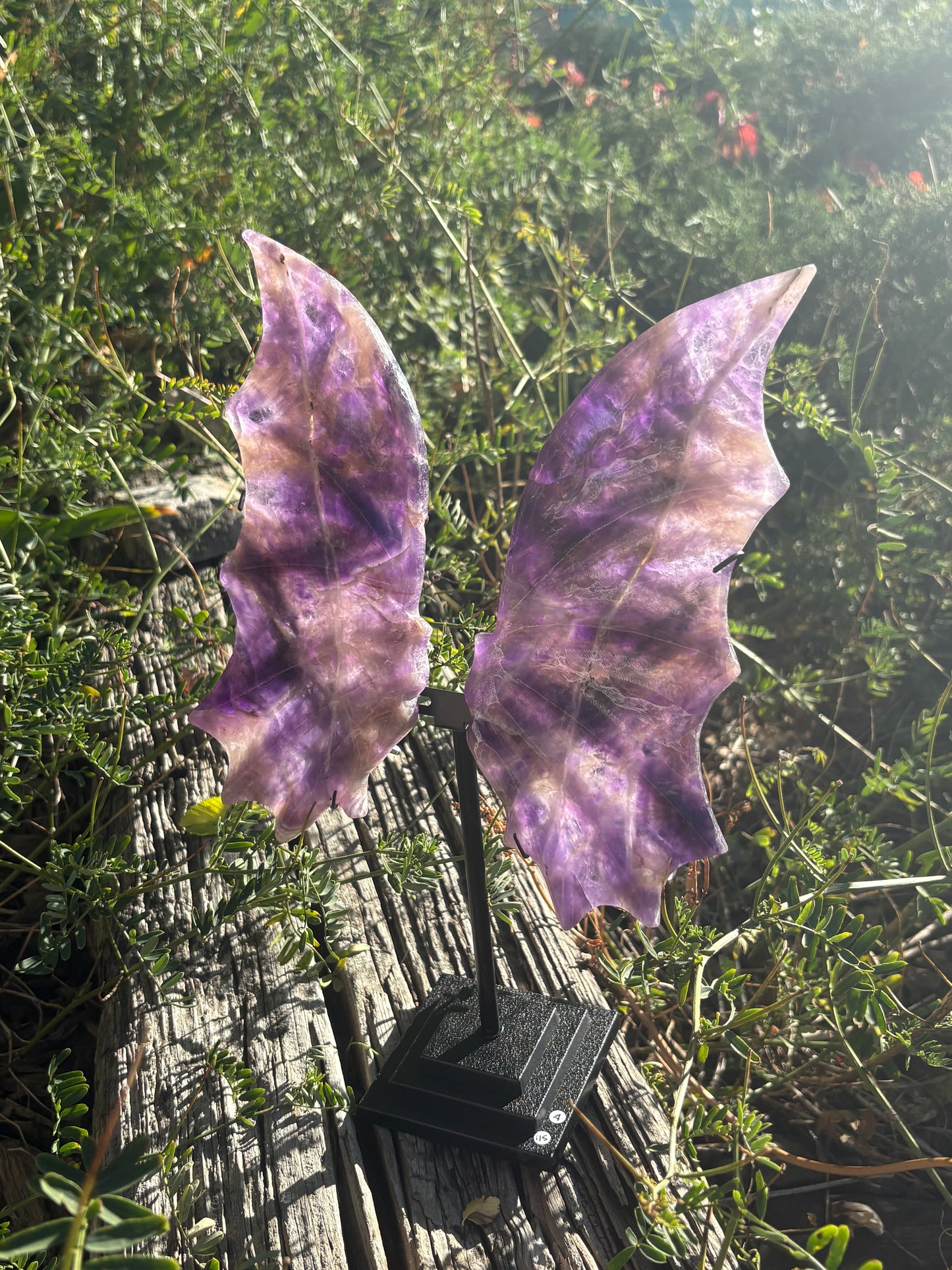 Amethyst Dragon Wings