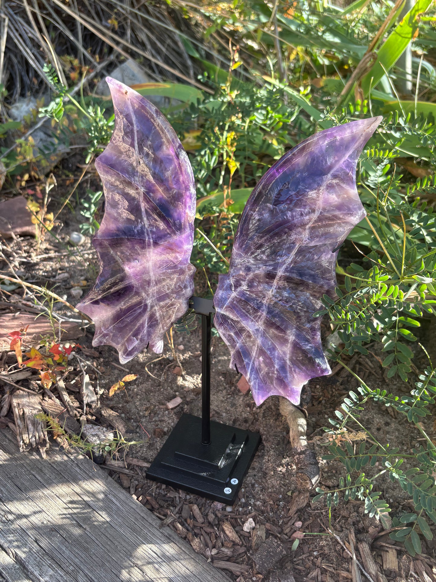 Amethyst Dragon Wings