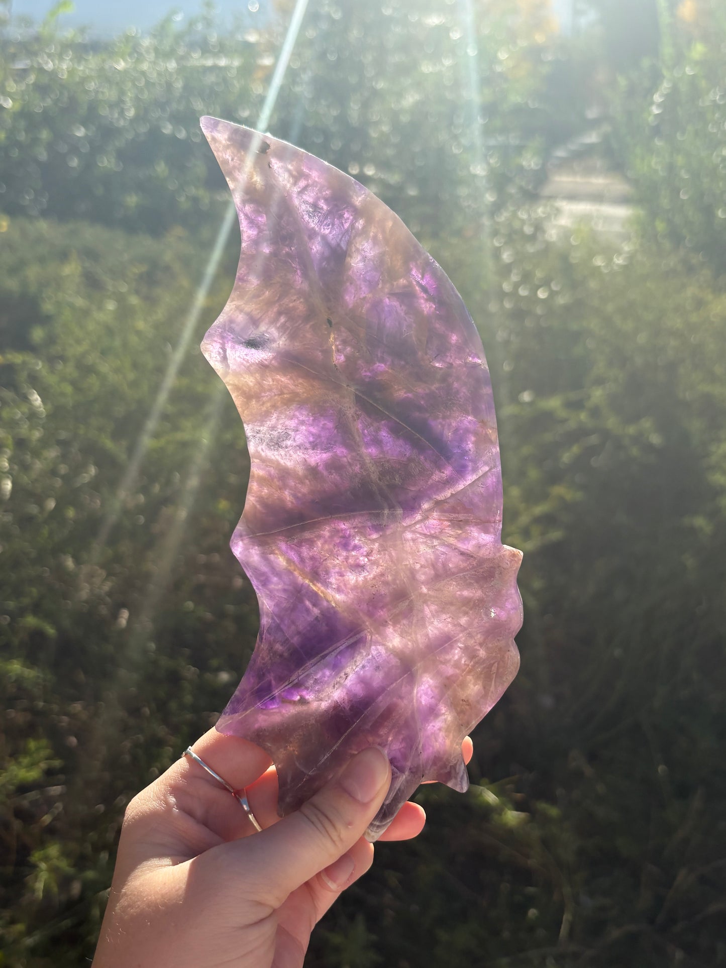 Amethyst Dragon Wings