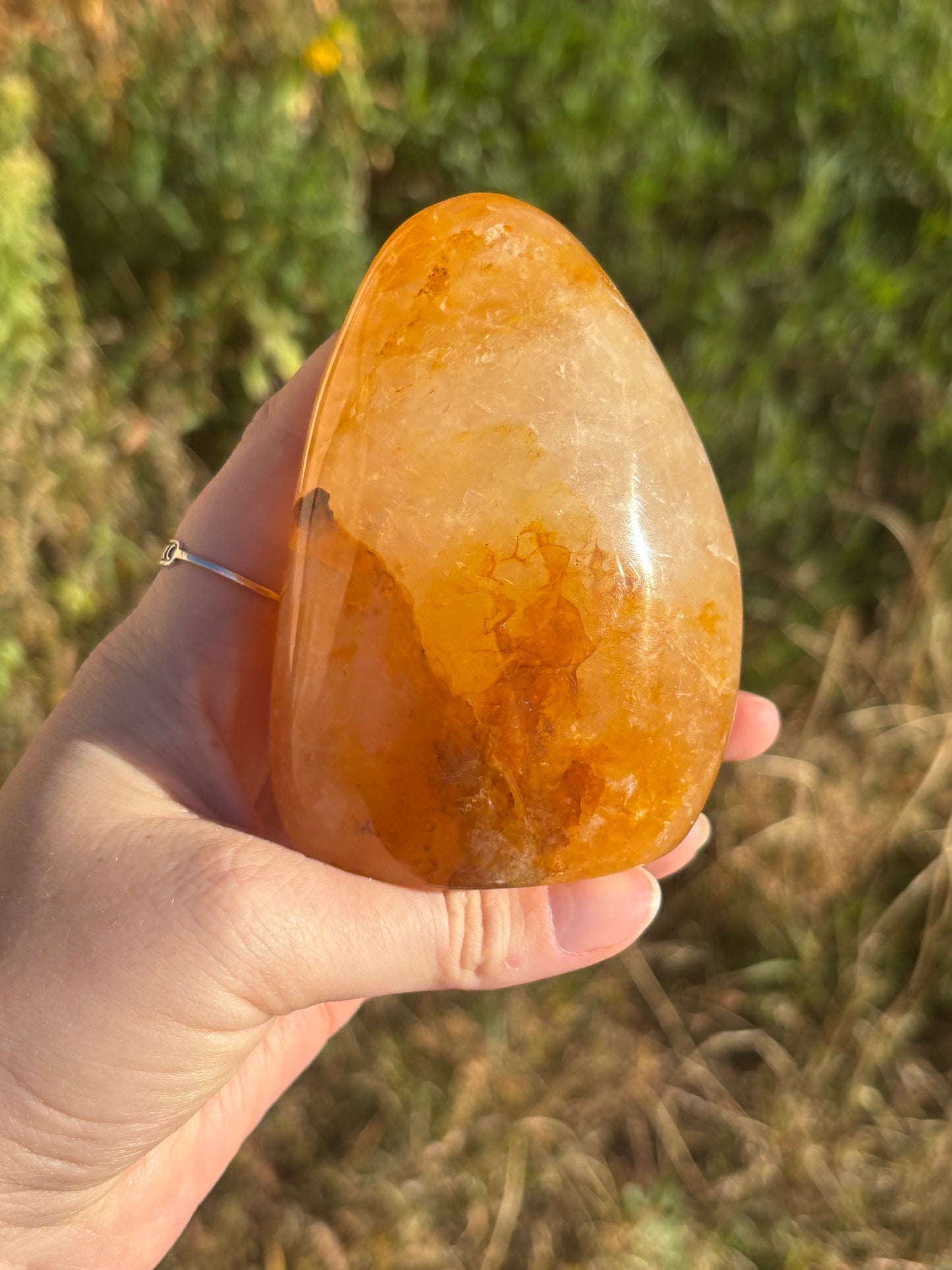 Golden Healer Freeform C