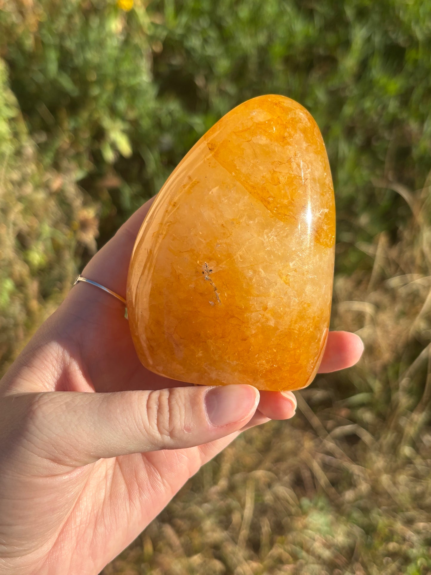 Golden Healer Freeform C