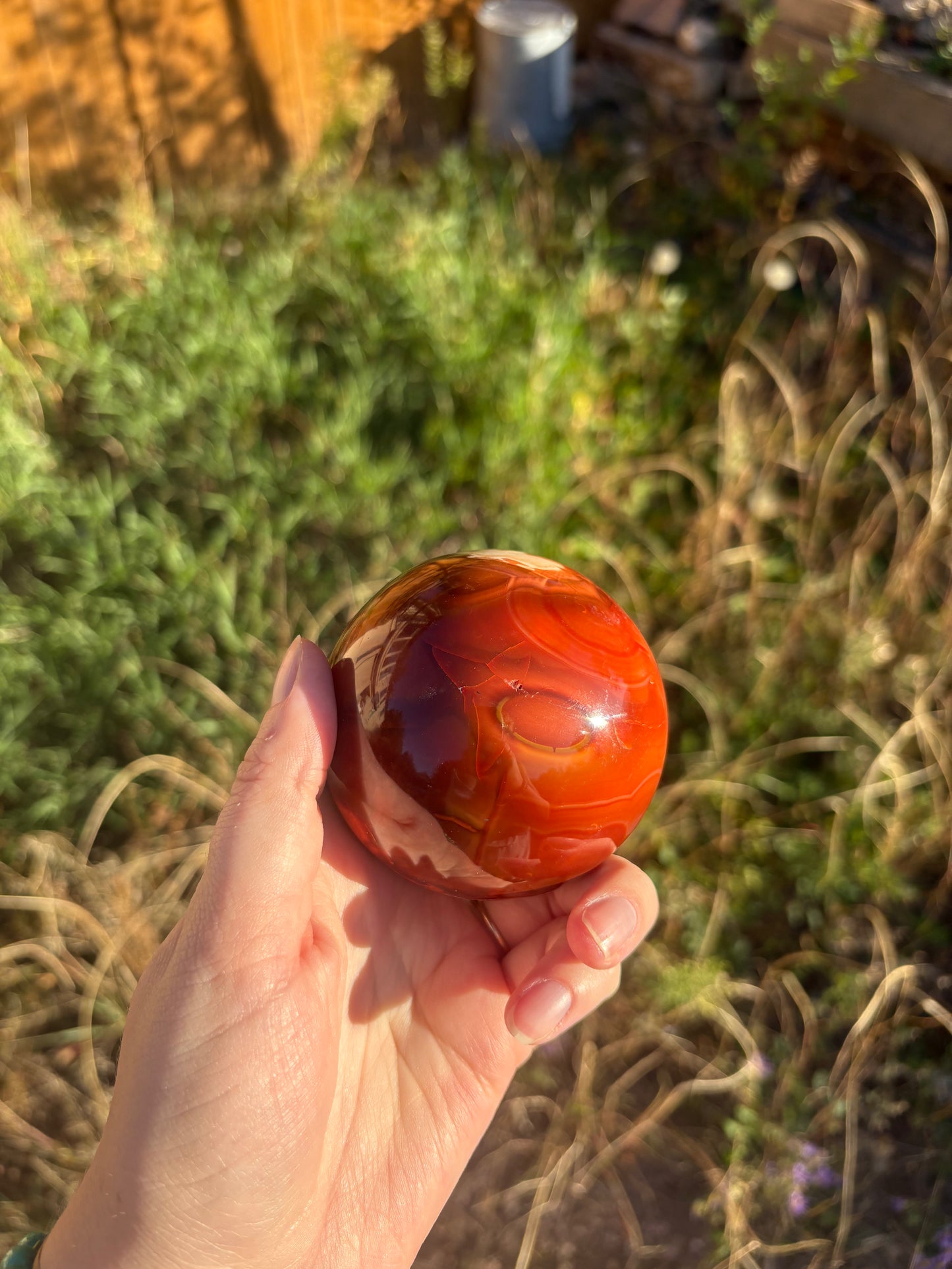 Carnelian Sphere D