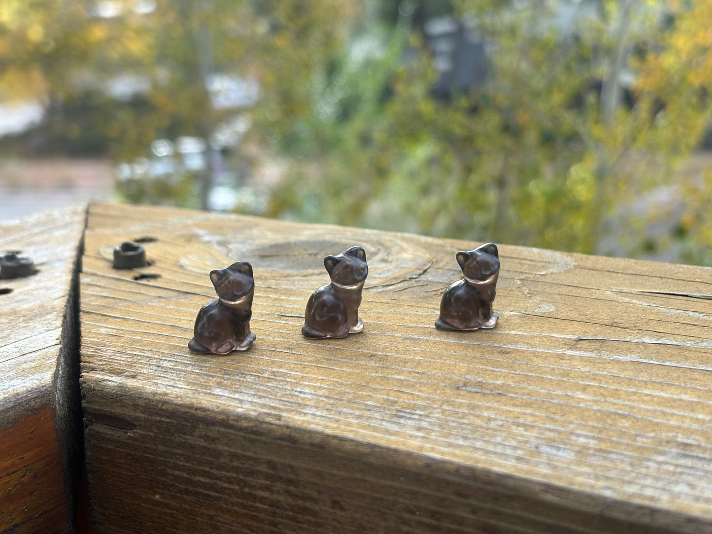 Smokey Obsidian Kitty