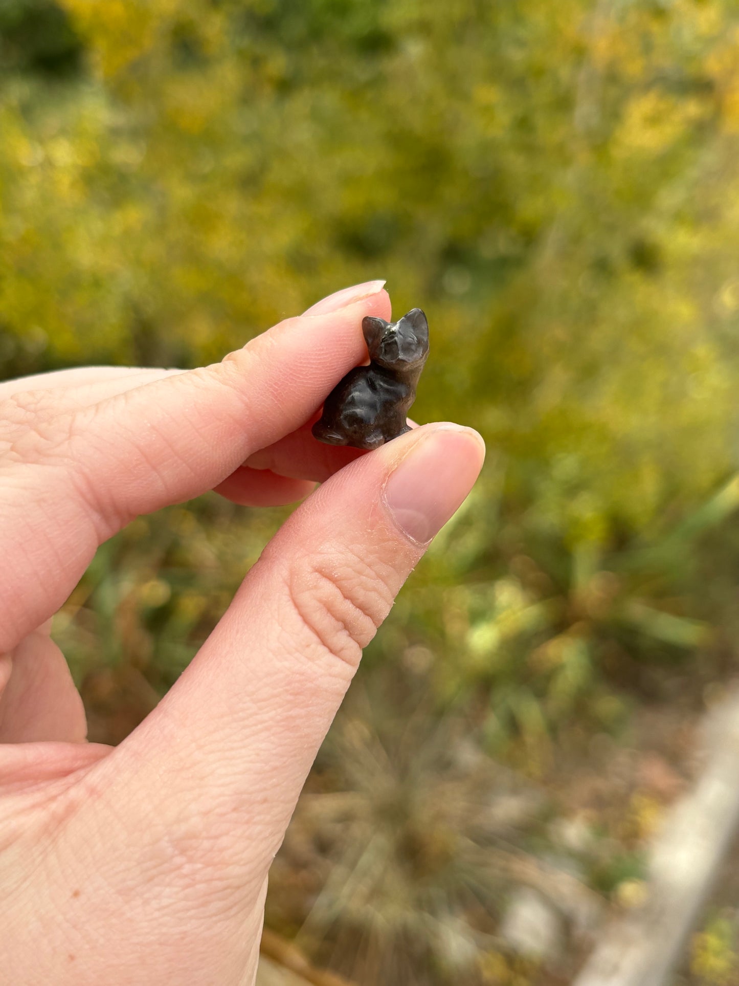 Silver Sheen Obsidian Kitty