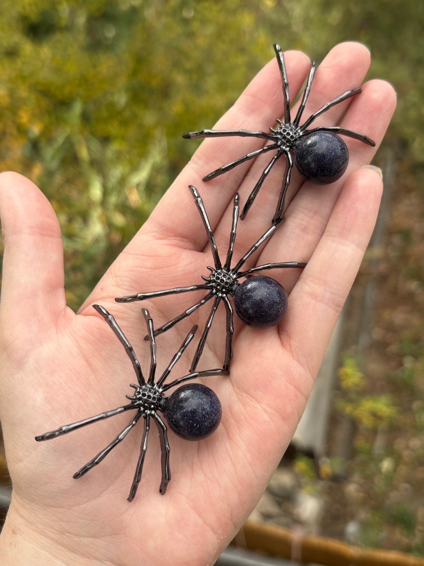 Blue Goldstone Spider
