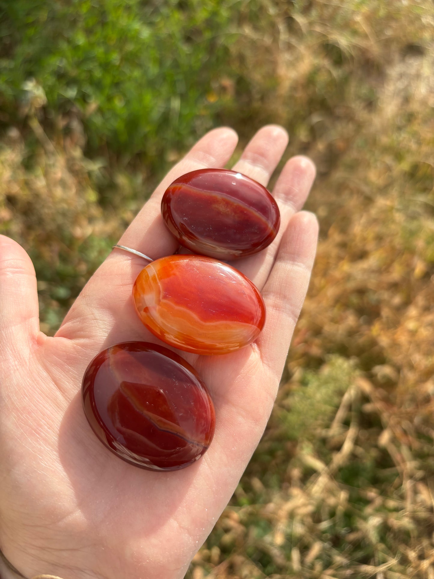 Carnelian Mini Palm Stone